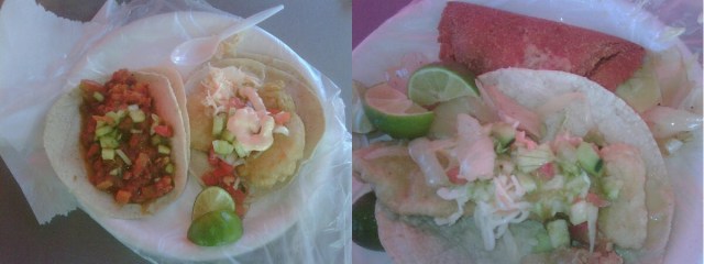 Tacos de Pescado, Atún y Marlin